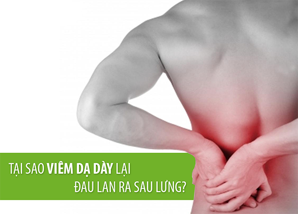 Khi bệnh nhân bị đau dạ dày thì có bị đau lưng không ?