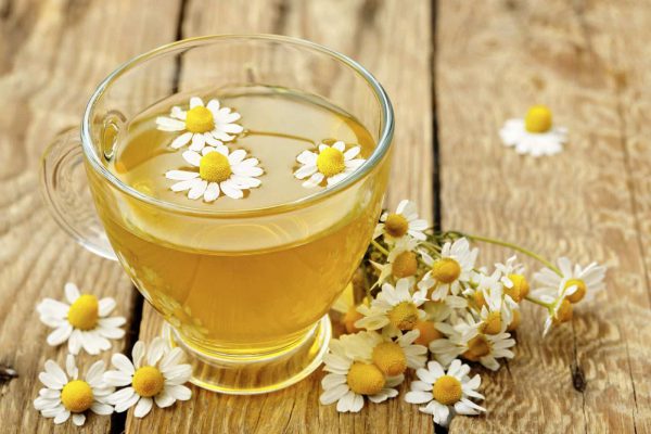 Y học cổ truyền hướng dẫn dùng trà dược hoa cúc chữa bệnh