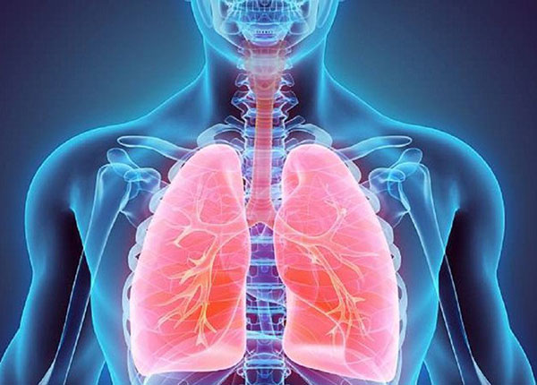 Những điều mọi người cần biết về bệnh viêm phổi thùy