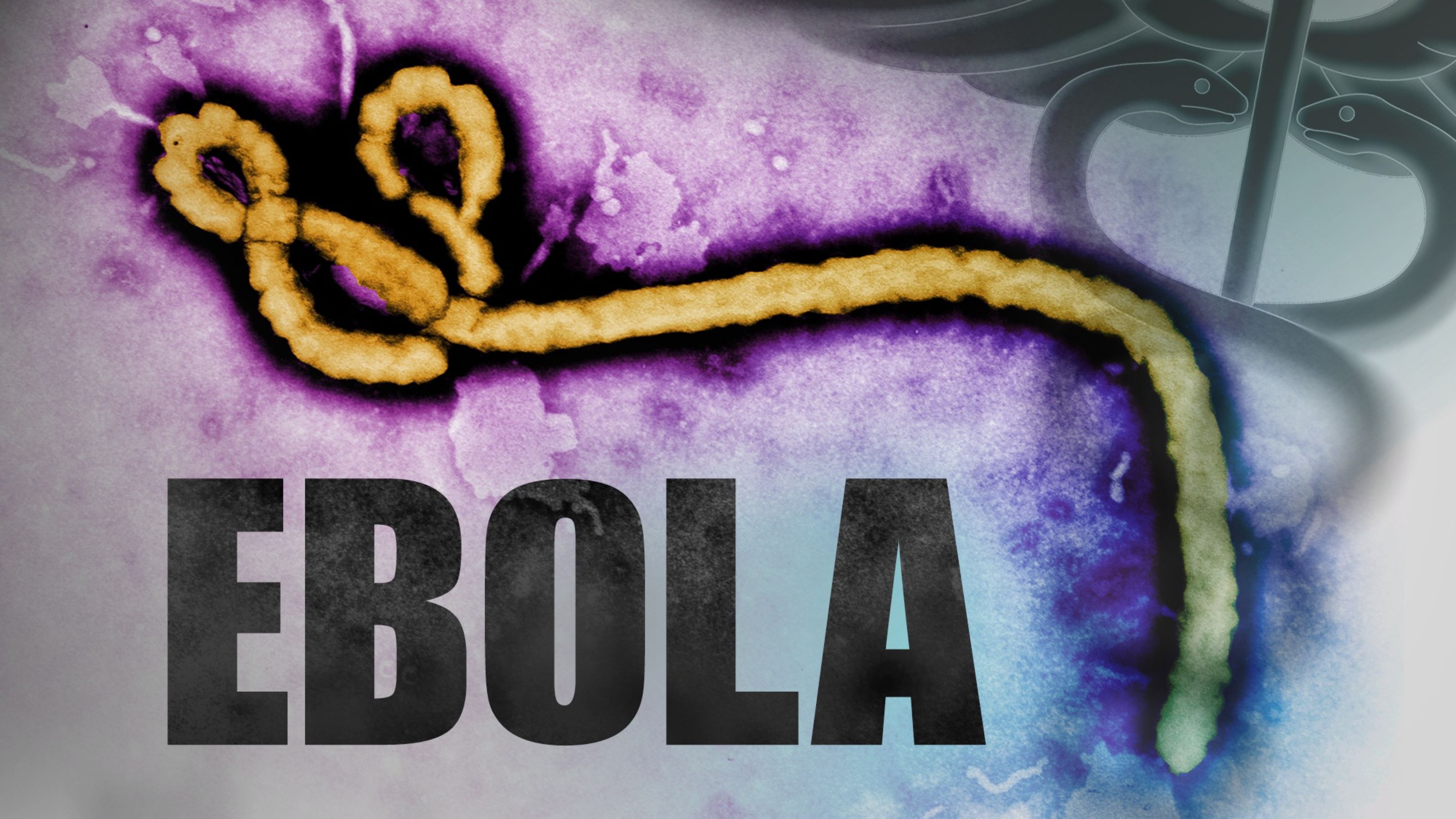 con-duong-lay-lan-cua-benh-ebola