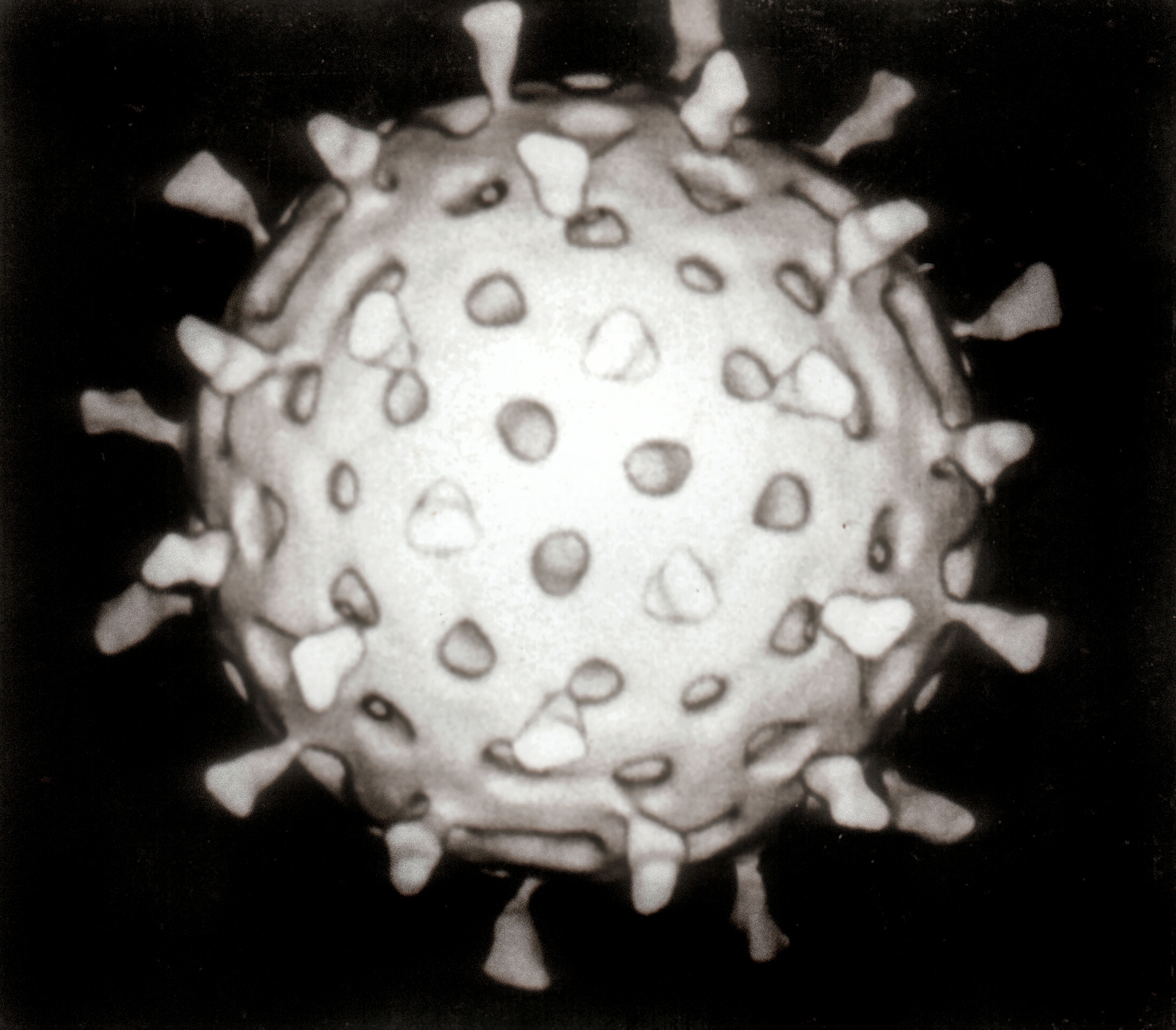 Rotavirus_Reconstruction