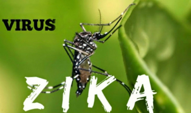 Virus Zika – Những Biện Pháp Phòng Tránh Cần Thiết