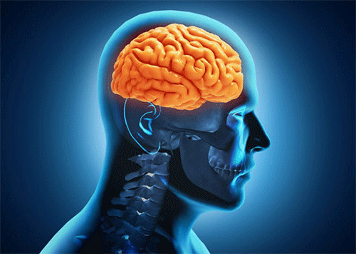 Đột Quỵ Não – Những Điều Cần Biết Về Căn Bệnh Nguy Hiểm Này