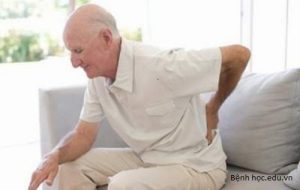 chế độ ăn uống thường ngày cho bệnh đau xương khớp