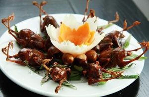 chim sẻ món ngon làm thuốc.