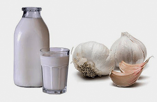 Sữa và tỏi sử dụng để phục hồi sức khỏe