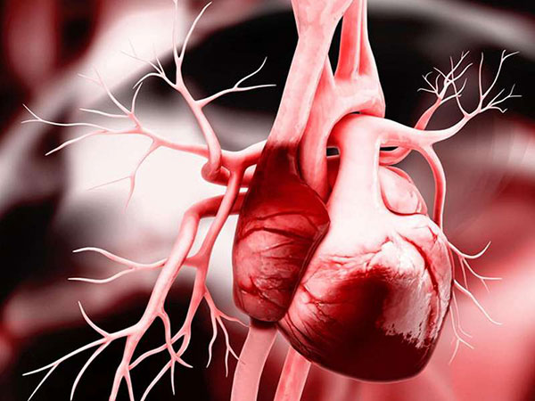 Suy tim mạn tính ảnh hưởng trực tiếp đến sức khỏe con người